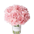 Peony Artificial Silk Flowers