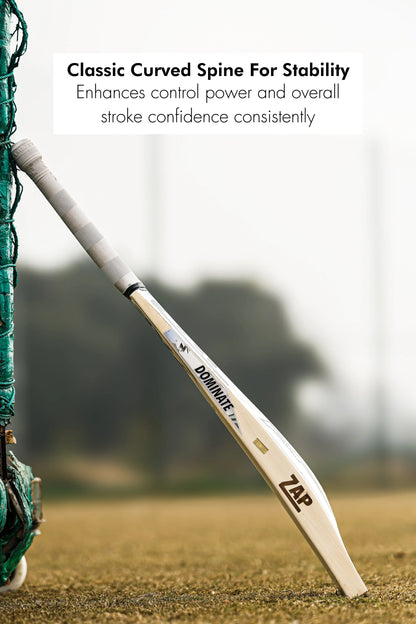 ZAP Classic Platino English Willow Bat (Grade 2)