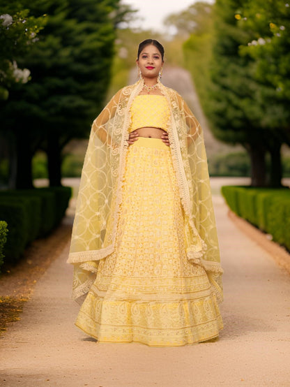 Semi-Stitched Lehenga with Embroidery & Golden Sequin work by Shreekama