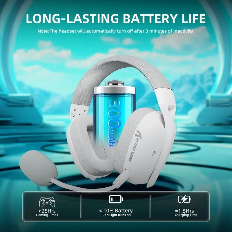 Wireless Gaming Headset with Dual Mic & Type-C Charging