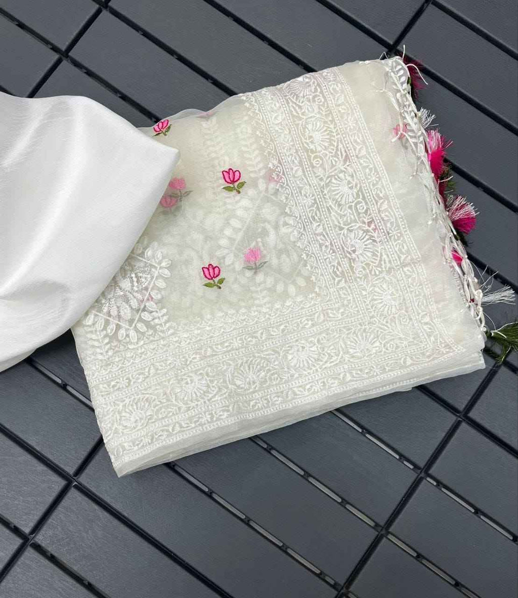 Noor-e-Kamal Lucknowi Embroidered Pure Organza Saree with Satin Silk Blouse